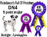 CZPKC: Conformation - 5 Major Points