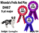 CZPKC: Conformation - 5 Major Points