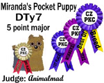 CZPKC: Conformation - 5 Major Points