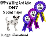 CZPKC: Conformation - 5 Major Points