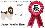 CZPKC: 2nd Place Poze - 3rd Points