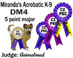 CZPKC: Conformation - 5 Major Points
