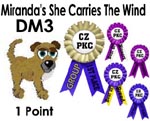 CZPKC: Conformation - 1 minor point
