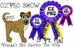 CZPKC: Conformation - 5 Major Points