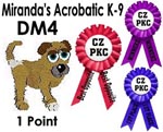 CZPKC: Conformation - 1 minor point