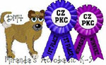 CZPKC: Conformation - 4 Major Points