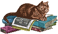 Cat on piled books