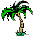 palm tree