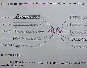 femenino y masculino
