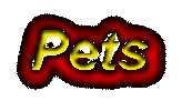 Pets