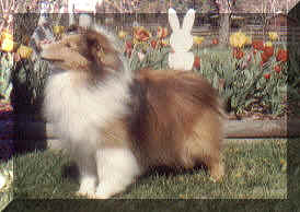April1320002.jpg (48213 bytes)