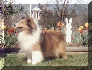April1320003.jpg (67636 bytes)