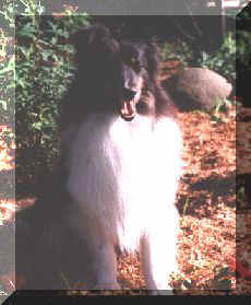 BAYLEE1.jpg (16232 bytes)