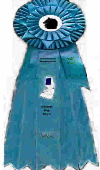 Bpib (1).jpg (37287 bytes)
