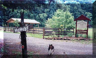 Howdy! From Mirthaven!