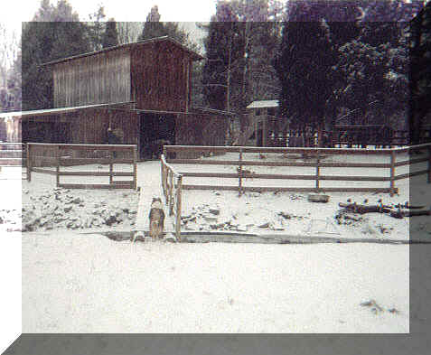 ksnow.jpg (131247 bytes)