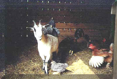 Visit the farm!