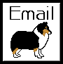 shltim2.gif (741 bytes)
