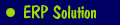 ERP Solution Provider