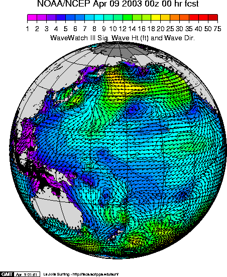 NW Pacific WAM