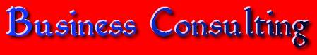 Business Consulting