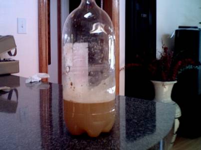soda bottle, ahhhh! quench your thirst!