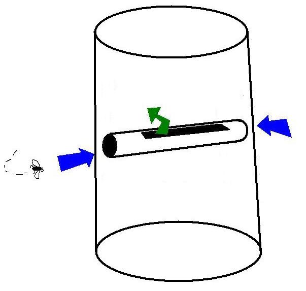 fly trap configuration, lookout for the fly on the left side about to get in.