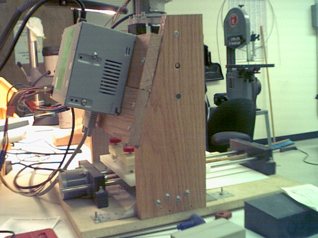 back view