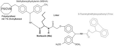 sTRUKTUR DES rINK aMIDE RESIN