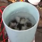 Meyers Test