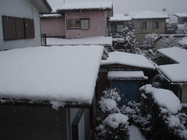 The View From My Window