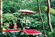A Couple Sitting Outside A Teahouse Surrounded By Garden