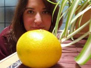 Mmmm, Oranges Are Yummy Vitaminy Goodness
