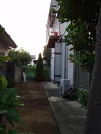 My Backyard