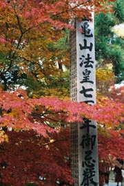 The 'May Some Guy Live For A Thousand Years' Pole At 'Nen's Zen, G'