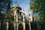 The Back of Notre Dame