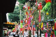You Can See All The Fun Tree Decorations And Wishes