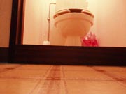 The Roach View