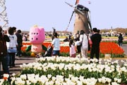 The Giant Pink Head