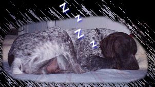 Gonif napping