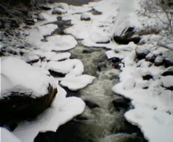 Iced over stream.