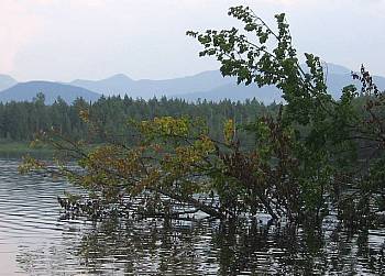 Saranac Lake mountain view