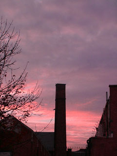 pink