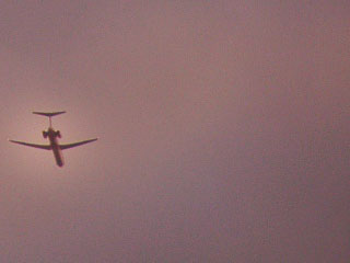 high flyer