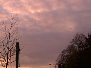 fly away