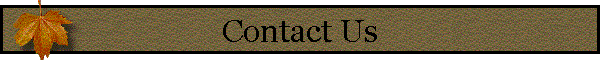 Contact Us