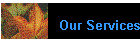 Our Services