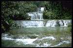 [Mayfield Jungle Falls]