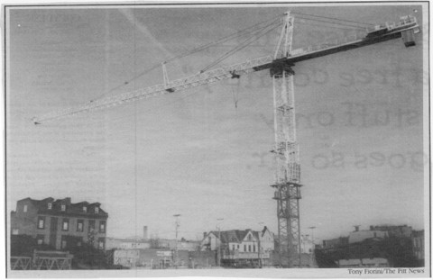 The crane