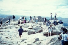 Our summit companions